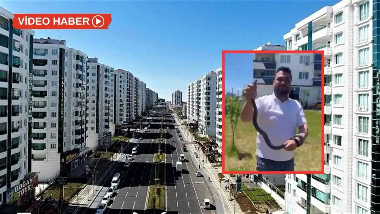 Diyarbakır'daki sitede 1 metre boyunda yılan yakalandı