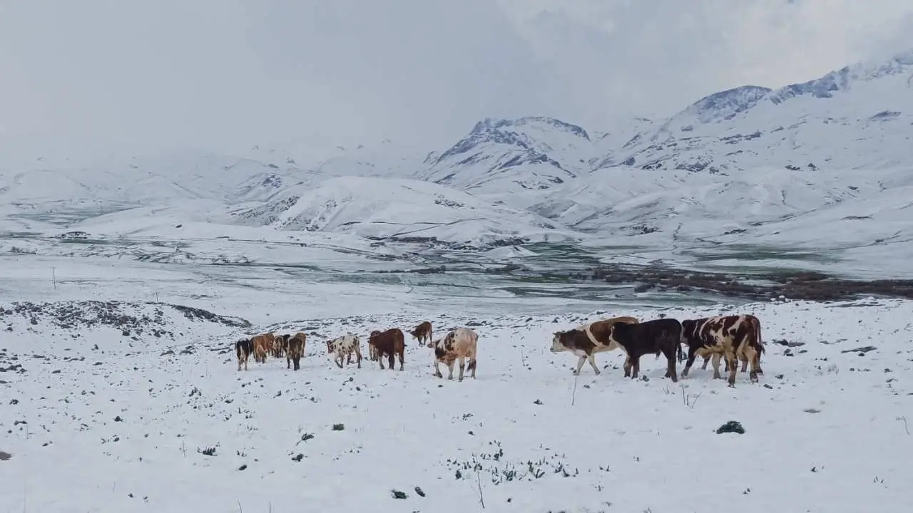 Şırnak’ta ilkbaharın son günlerinde kar yağışı etkili oldu