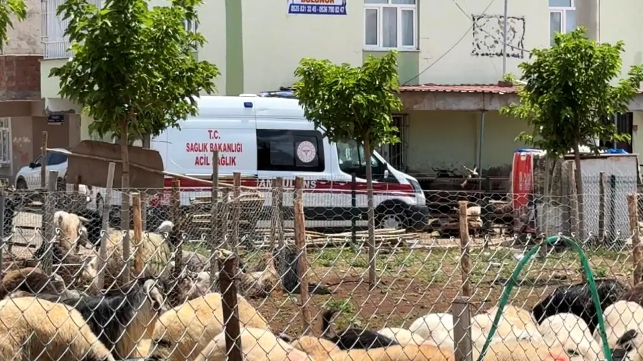 Kasaplardan bayram öncesi kritik uyarı: “Acemiliğe dikkat”