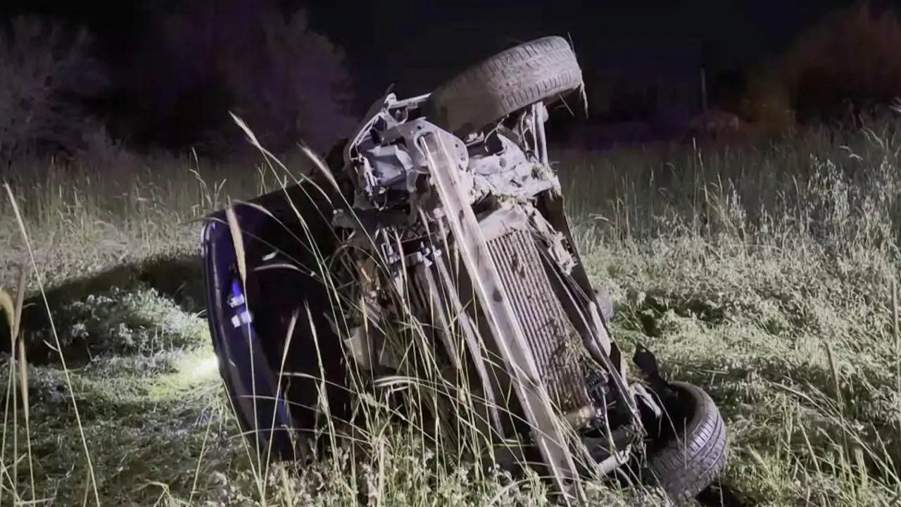 Domuza çarptı, şarampole uçtu: 5 yaralı