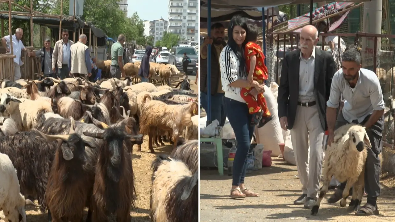 Diyarbakır’daki ‘kurban pazarı’nda işler kesat