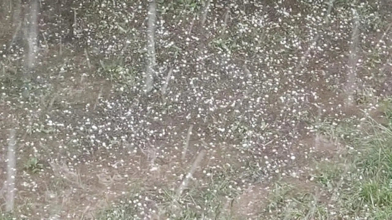 Bingöl’de şiddetli dolu yağışı tarımı vurdu