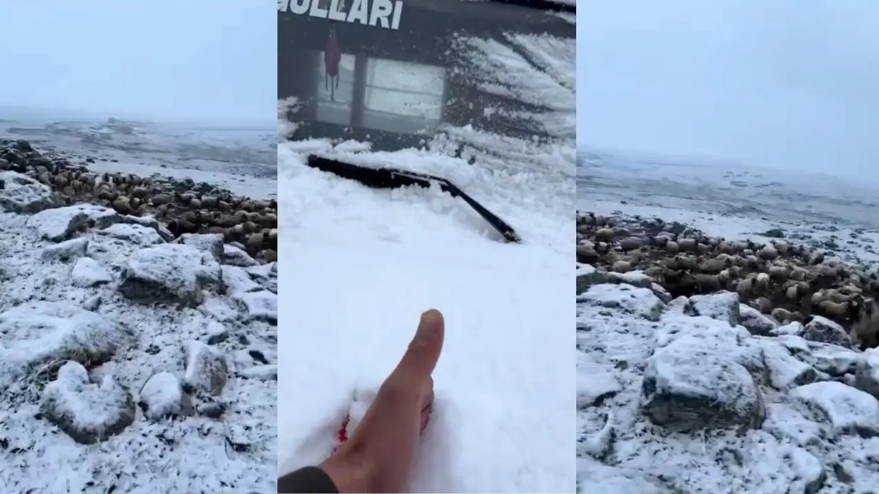 Kars'ta bahar yerini yeniden kışa bıraktı