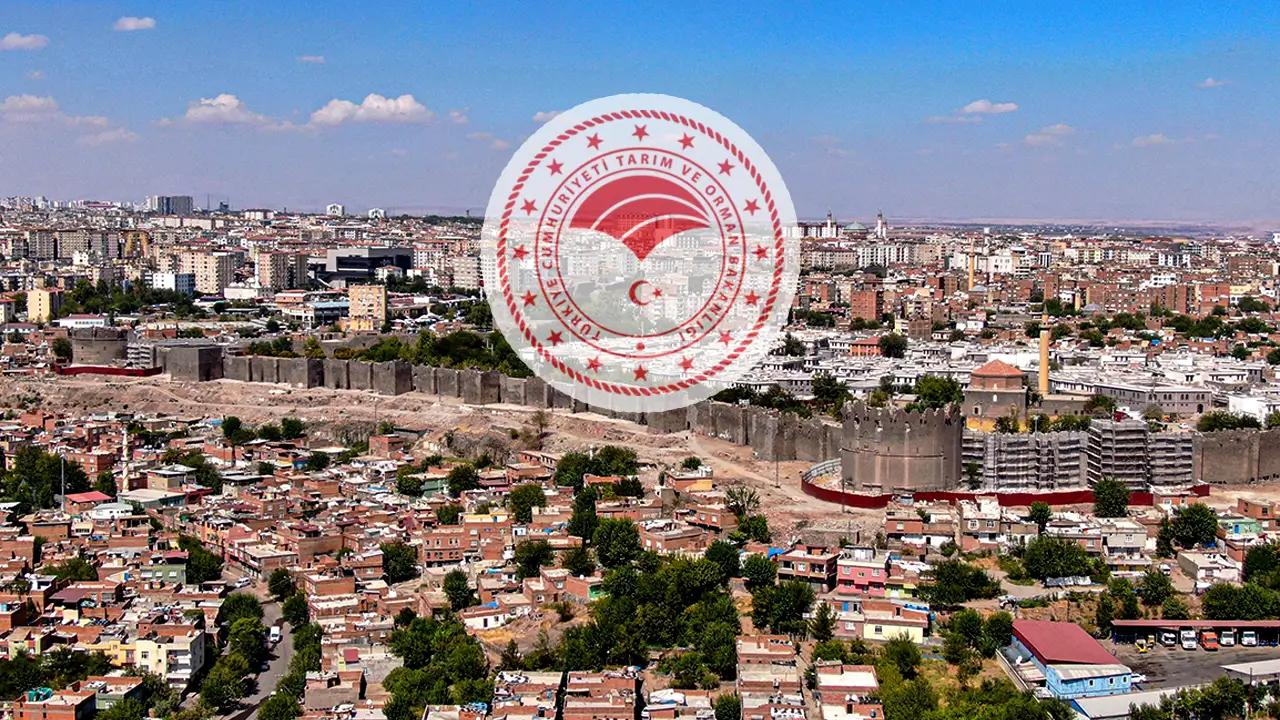 Diyarbakır’da anız yakanlara ağır ceza geliyor