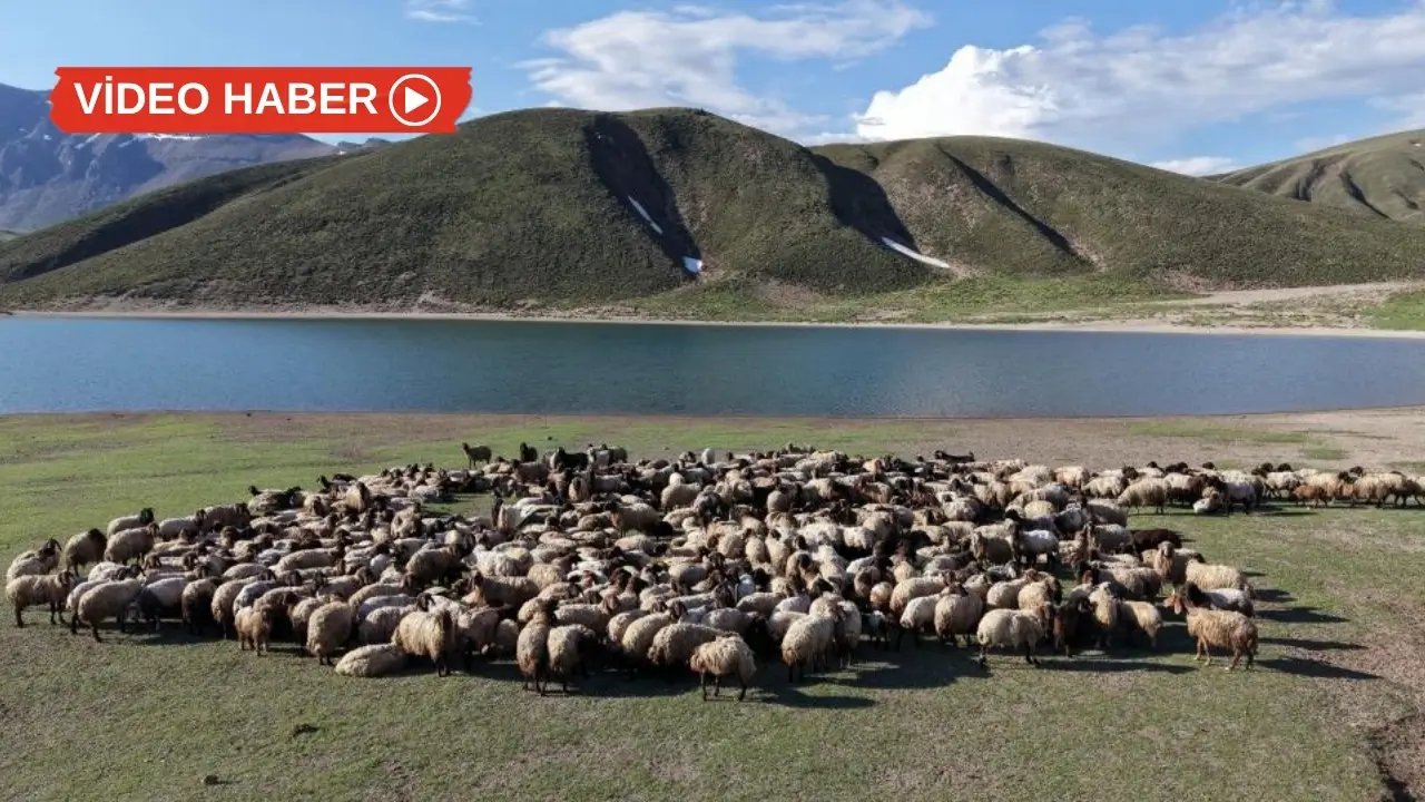 Göç yolculuğu sona erdi, Koçerler yaylalara ulaştı