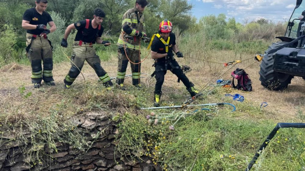 Diyarbakır itfaiyesi bu kez yaban domuzu için hare