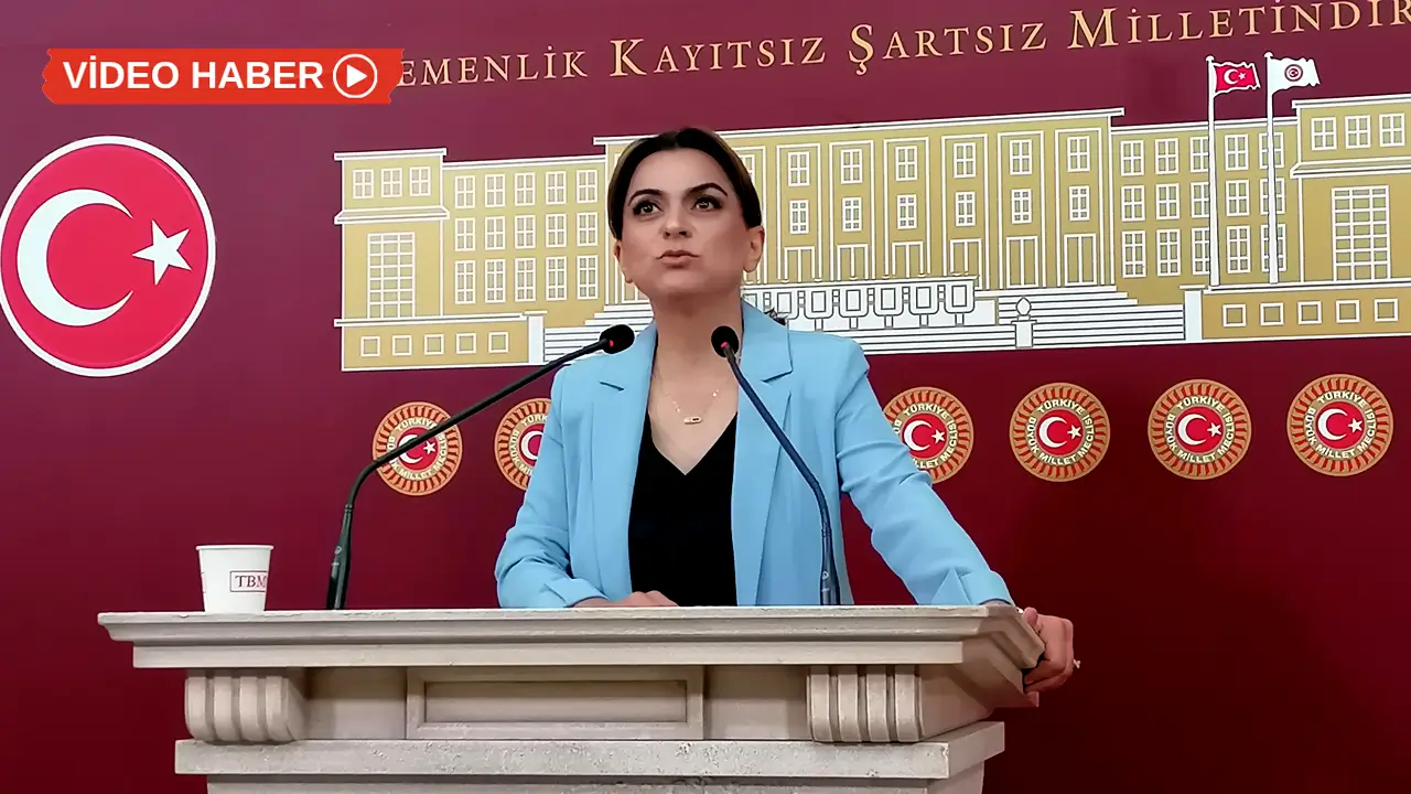 Koçyiğit: Meclis kapanmadan yasal adımlar somutlaştırılmalı