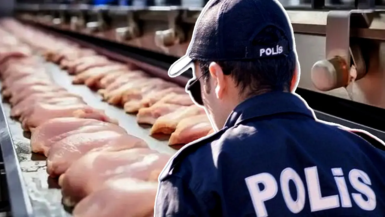 Tavuk sektörüne operasyon: 13 şirkete kayyuma atandı