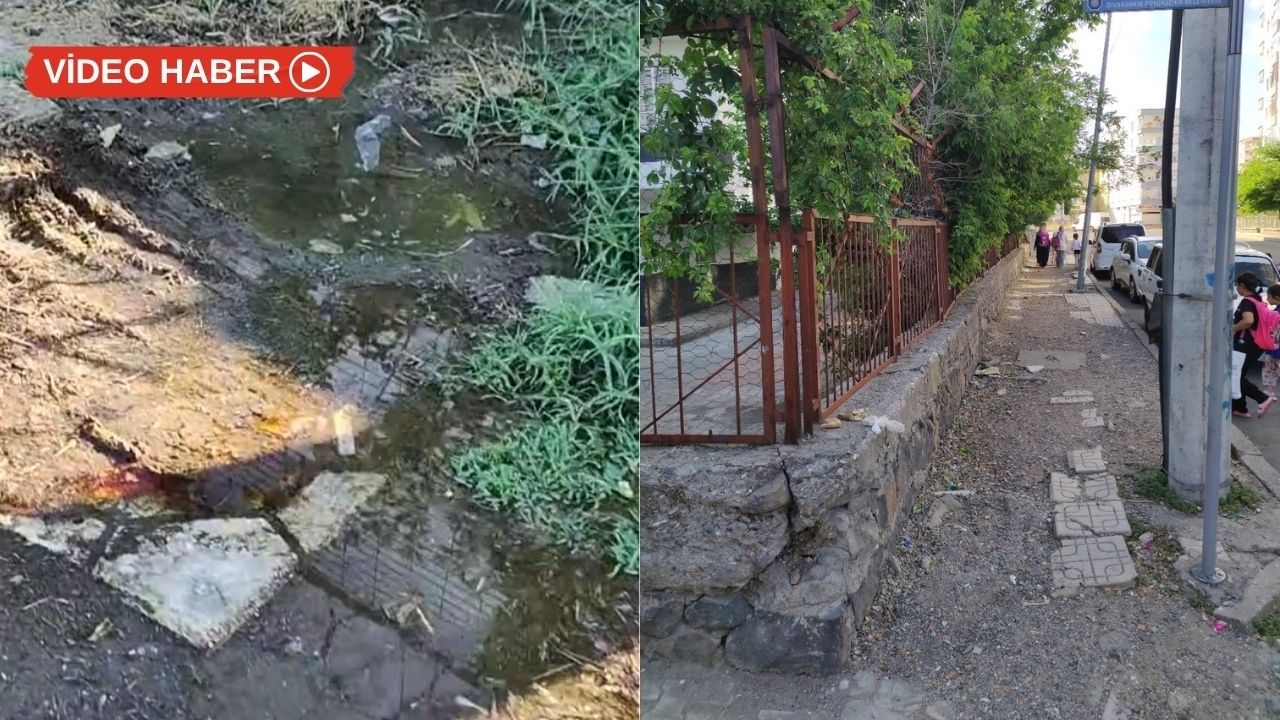 Diyarbakır’da bayram bitti, atıkları kaldı