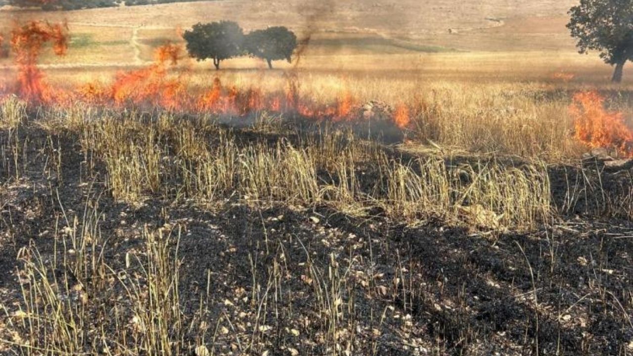 Diyarbakır’da 200 dönüm buğday küle döndü