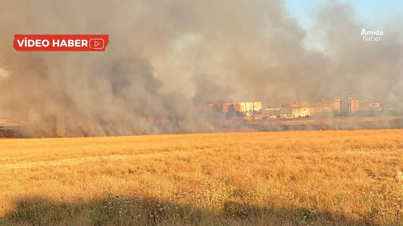 Nusaybin-Suriye sınırında korkutan yangın