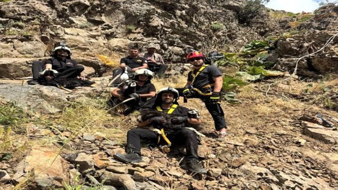 Diyarbakır: Kayalıklarda mahsur kalan oğlaklar kurtarıldı