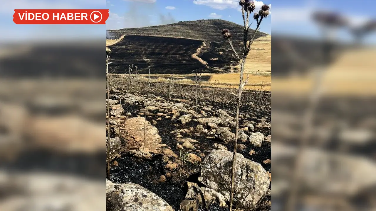 Diyarbakır’da yasak var uyan yok: Yüzlerce dönüm kül oldu