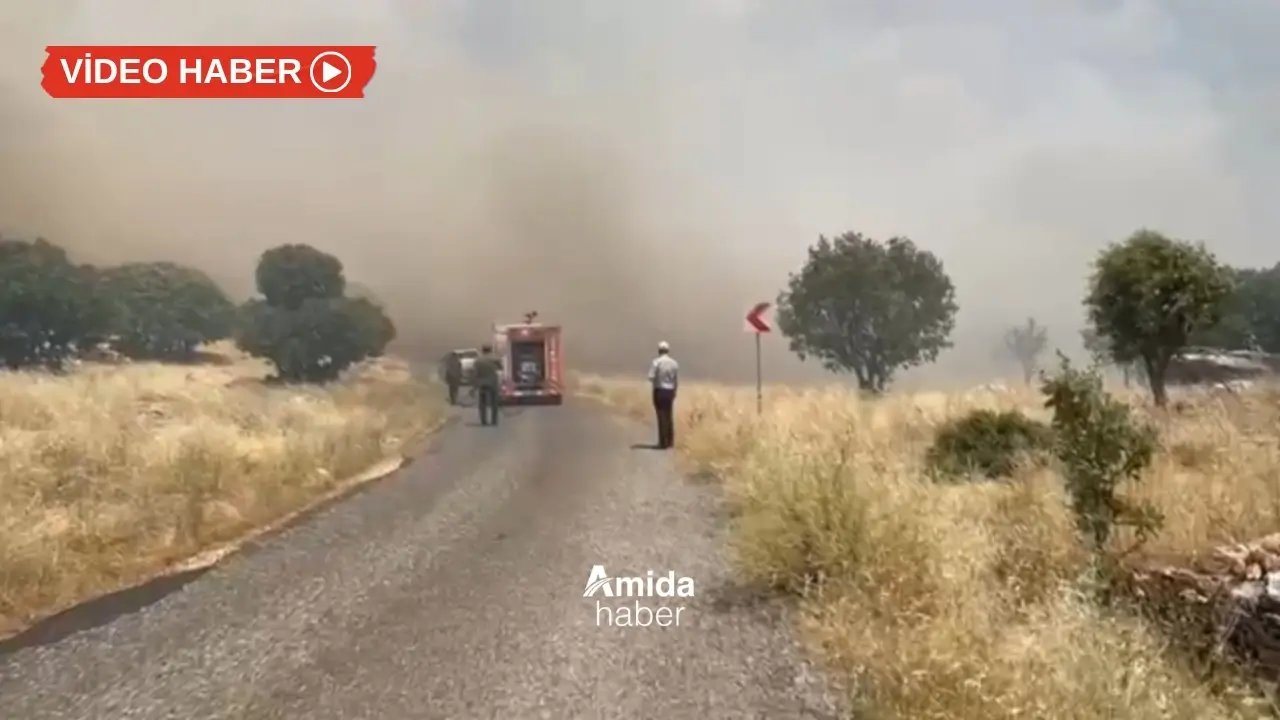 Diyarbakır Eğil’de arazi yangını