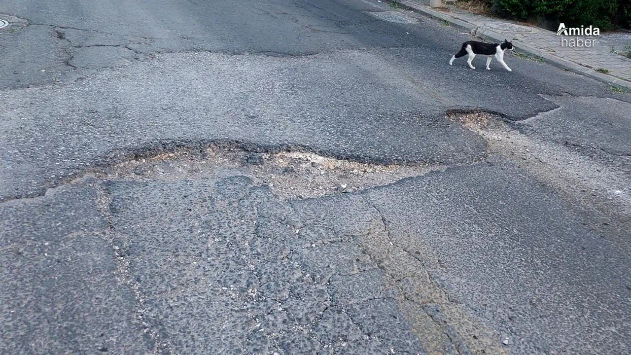 Diyarbakır’da mahalle sakinlerinden yol onarım çağrısı
