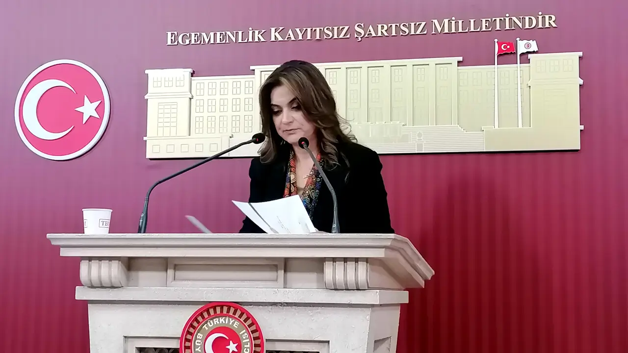 DEM Parti’den çerçeve yasa çağrısı: Tahammülümüz yok