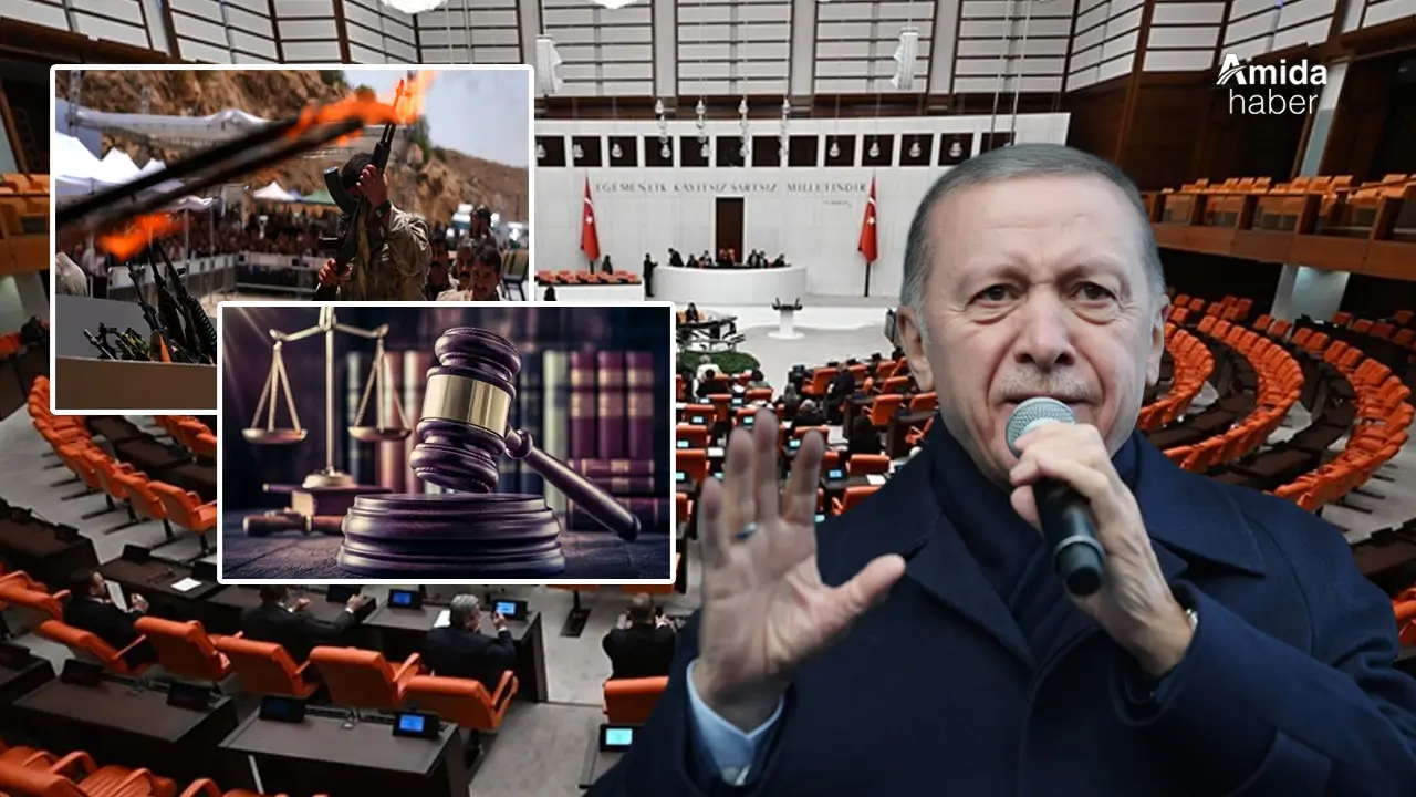 Silah bırakma sonrası için '3 maddelik' yasal formül