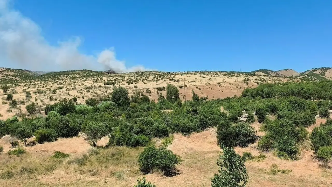 Dicle'de ağaçlık alanda çıkan yangına müdahale sürüyor