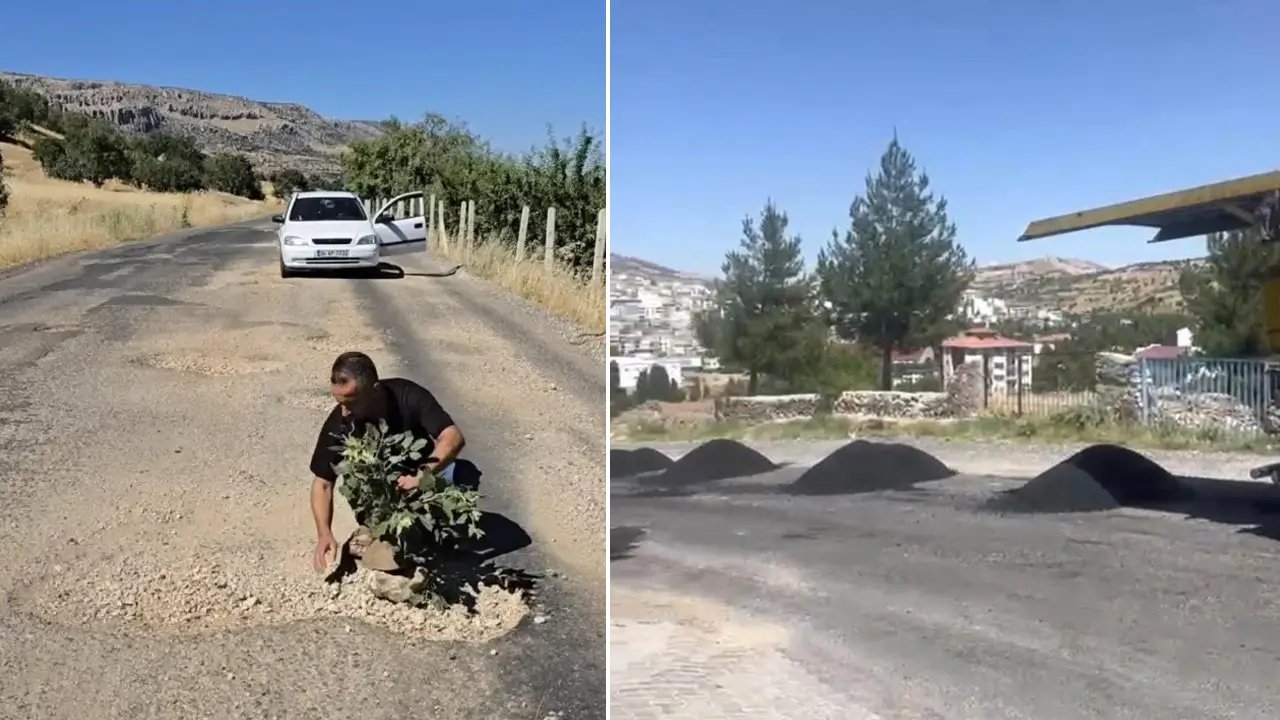Diyarbakır’da ağaç dikilen yolun onarımı başladı