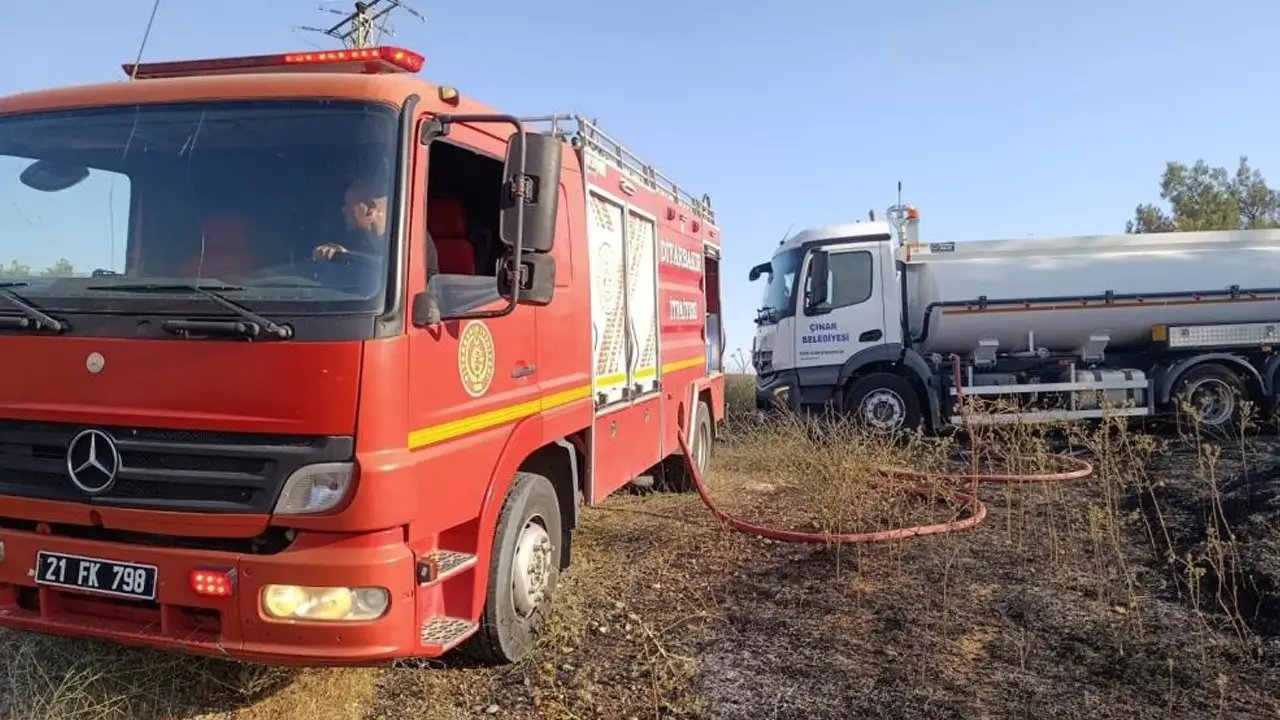 Diyarbakır’da yangının ortasında kalan leylekler öldü