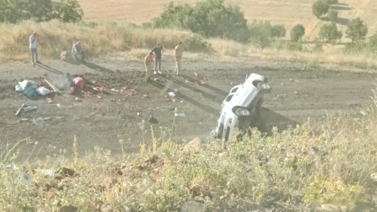 Elazığ'da kamyonet şarampole yuvarlandı: 4 yaralı