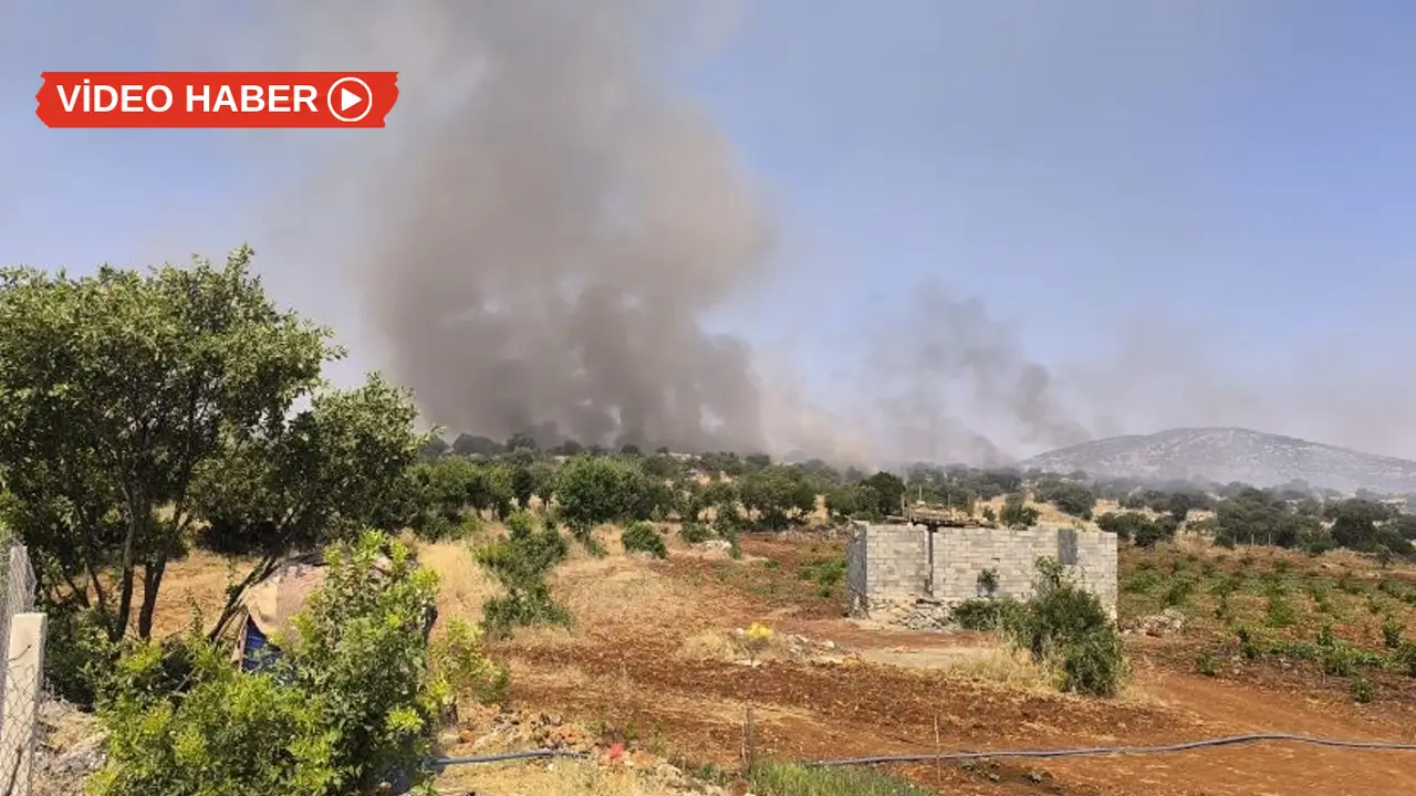 Dicle'de örtü yangınına müdahale sürüyor