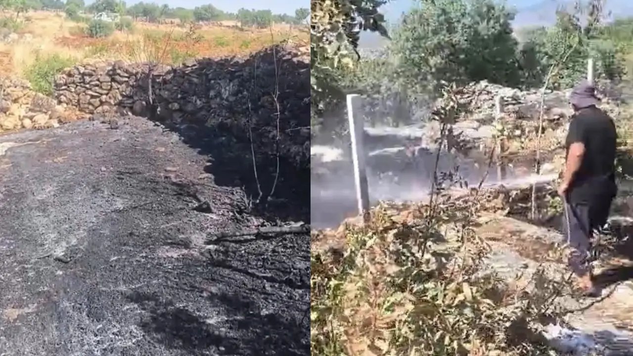 Diyarbakır’da yangın meyve ağaçlarını küle çevirdi