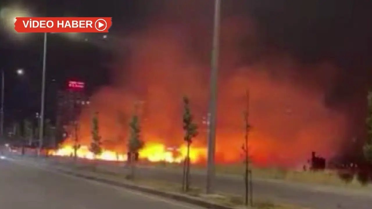 Diyarbakır’da alevler geceyi gündüze çevirdi
