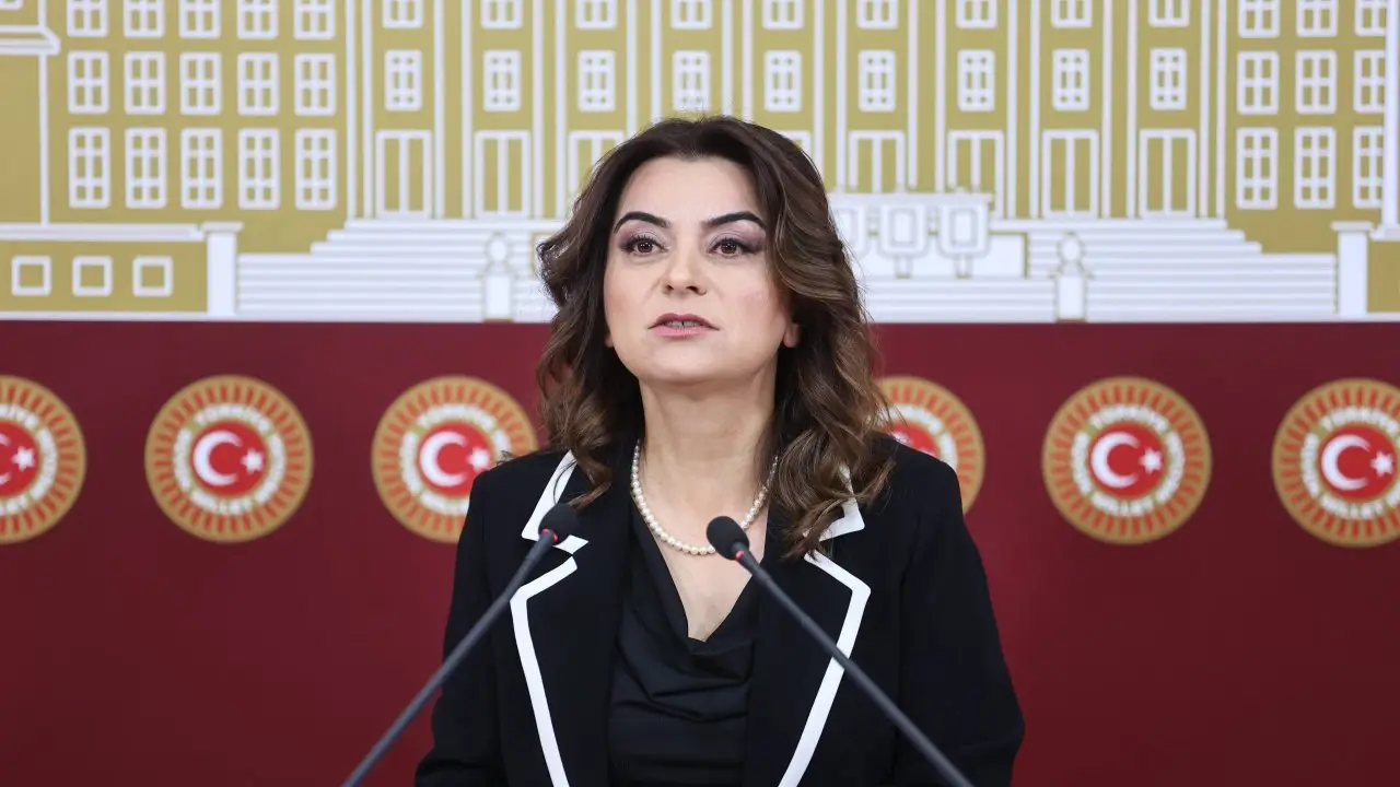 Gülistan Koçyiğit: Çerçeve yasa ile ilgili aktarım bu hafta