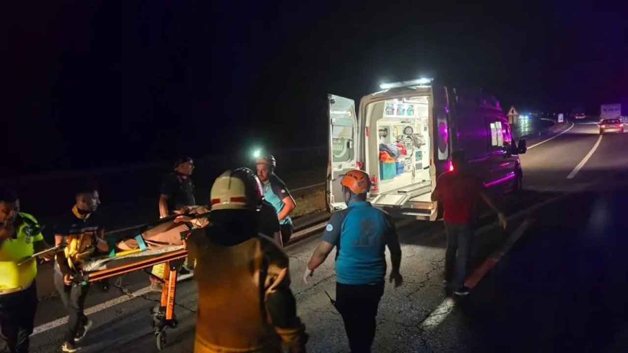 Bingöl’de kaza: İnekler öldü, 2 yaralı