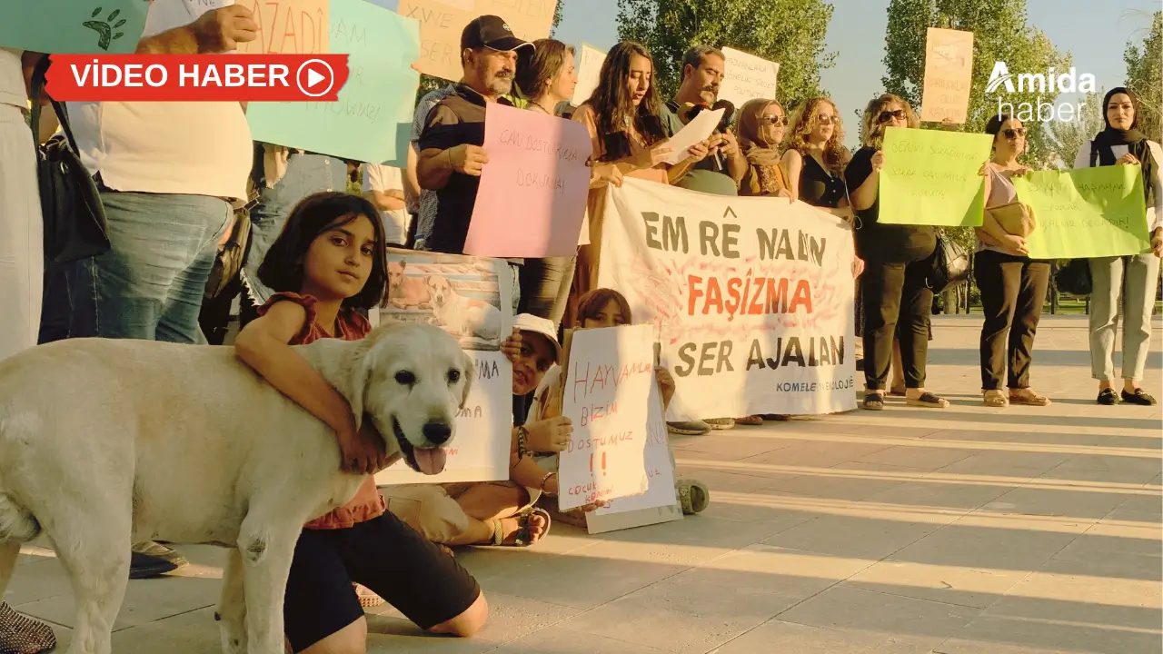 Diyarbakır'da hayvanseverlerden 'yaşam alanı' protestosu