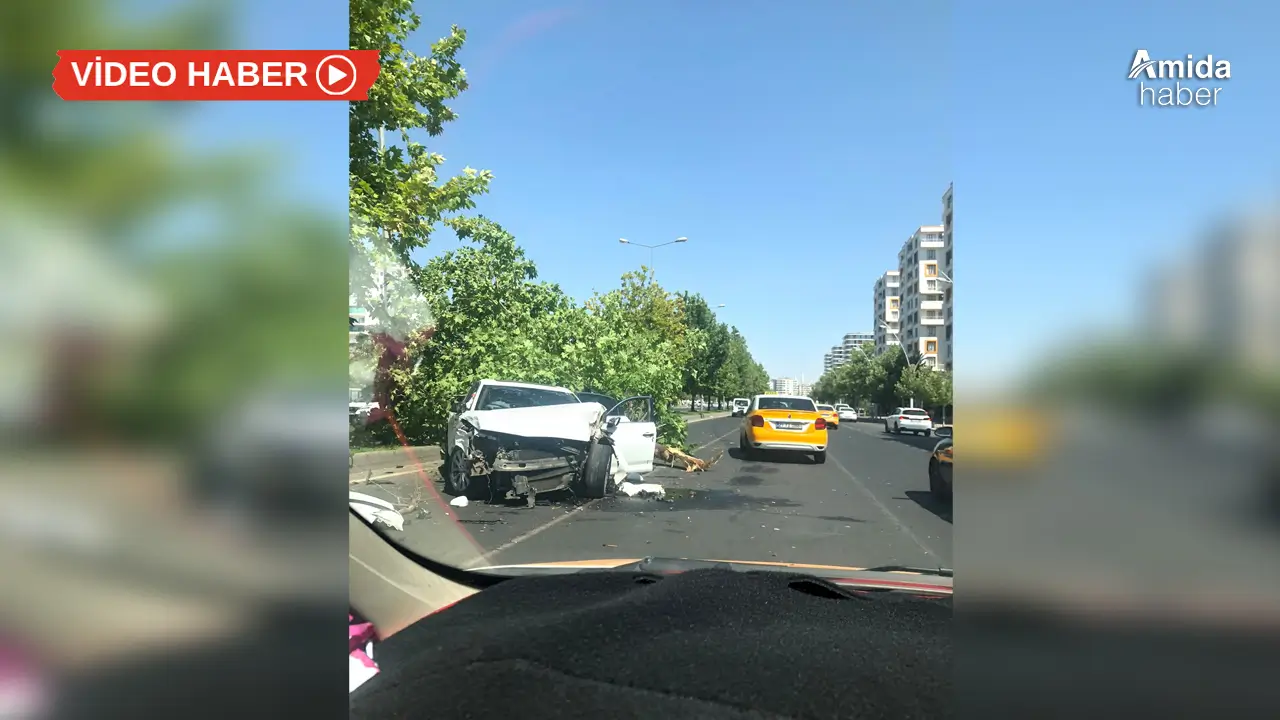 Diyarbakır’da refüje çarpan araç ağacı kökünden söktü