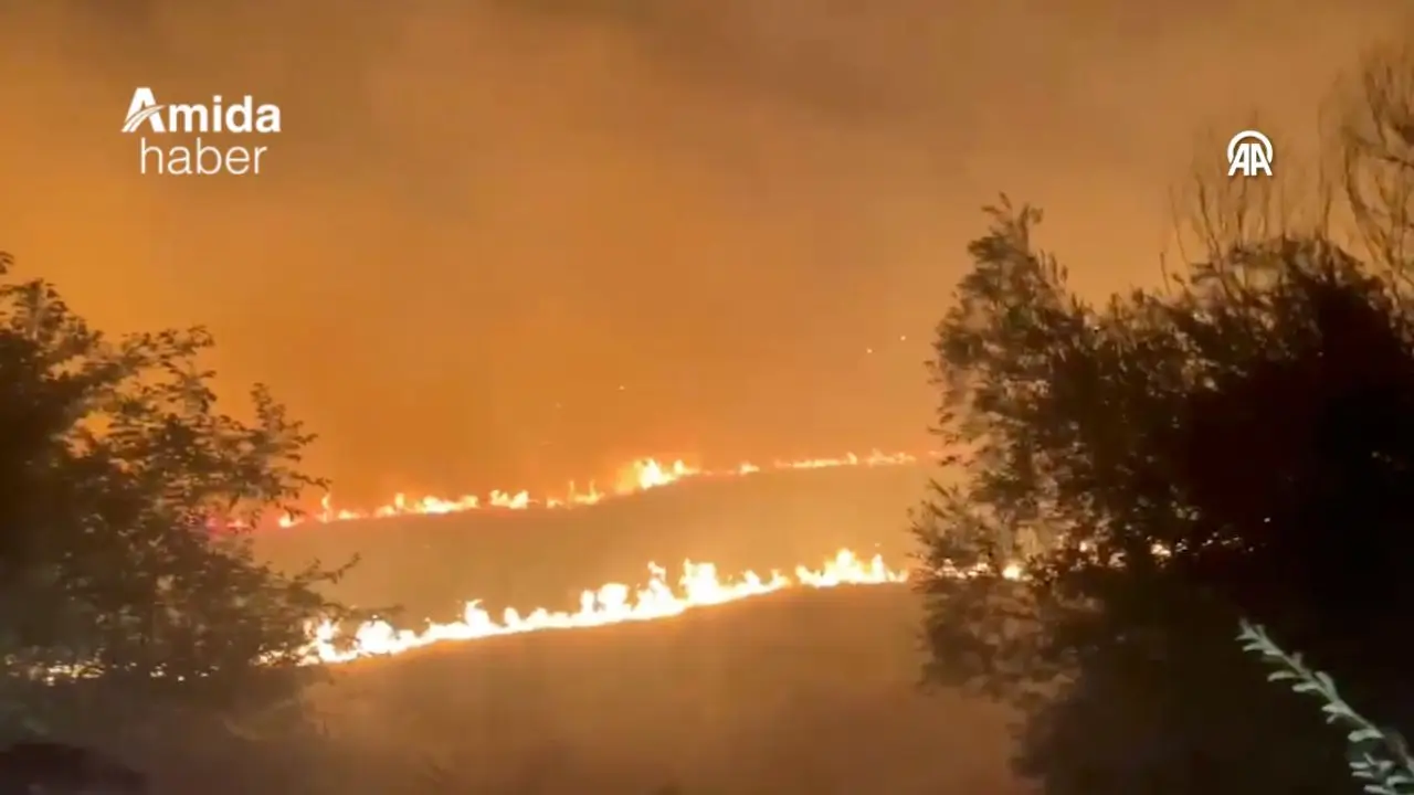 Diyarbakır'ın Lice ilçesinde anız ve örtü yangını