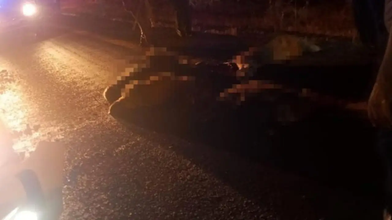 Diyarbakır’da otomobil sürüye daldı: 15 koyun öldü