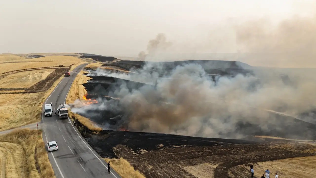 Diyarbakır'da 3 mahalleyi etkileyen yangın söndürüldü