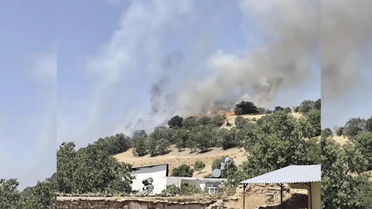 Diyarbakır’da ağaçlık alanda yangın paniği