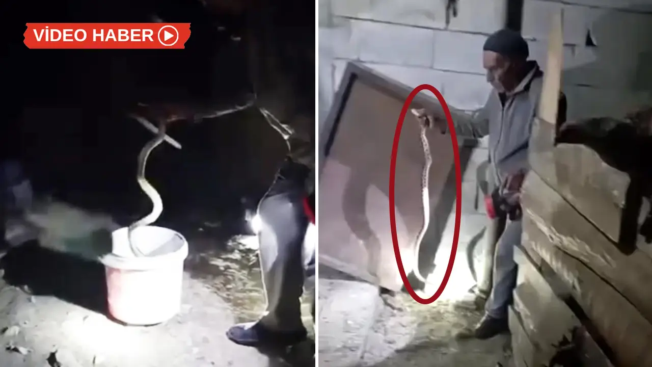 Gören kaçıyor, 70’lik dede elleriyle yakalıyor