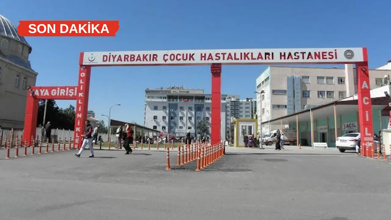 Diyarbakır’da kedinin ısırdığı çocuk yoğun bakımda
