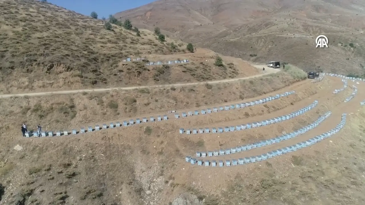 Elazığ’da coğrafi işaretli geven balında hasat başladı