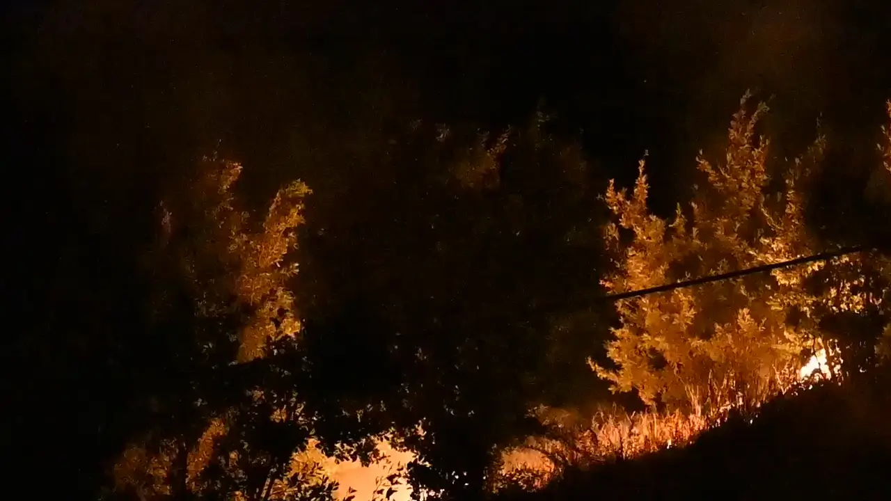Bitlis’te mezarlıkta yangın paniği