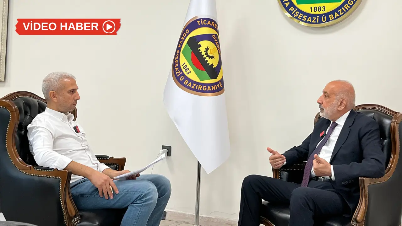 Kalıcı barış için üç başlık: Demokrasi, hukuk, ekonomi