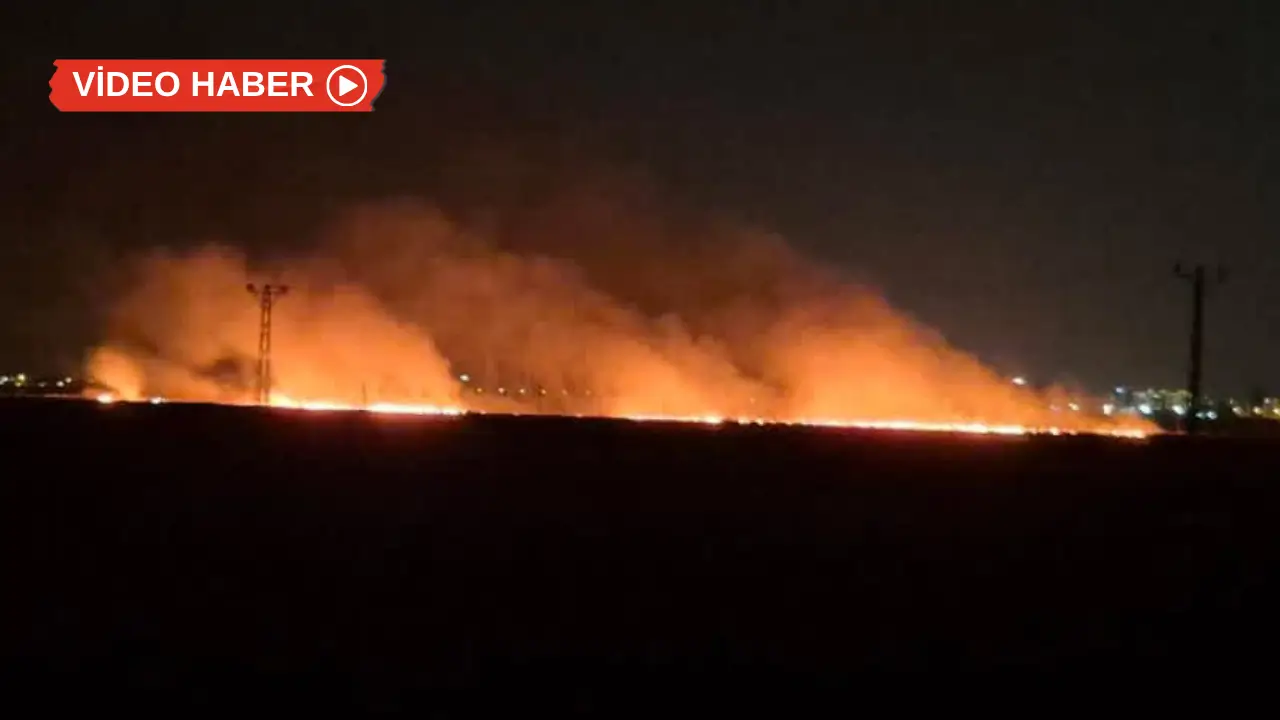 Diyarbakır’da otlak alanda yangın