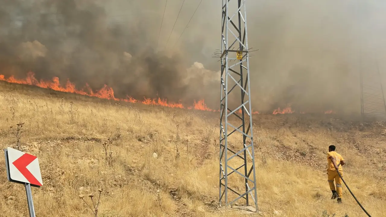 Silvan’da yangın ormanlık alana sıçradı