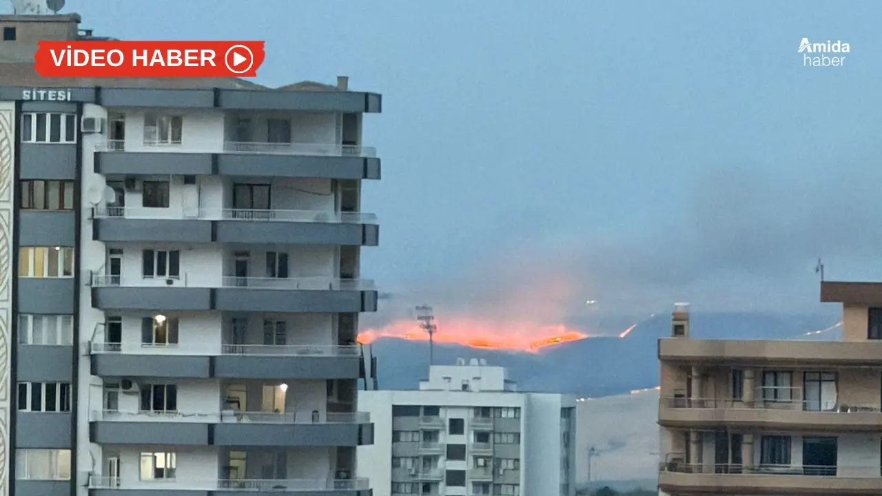 Diyarbakır’da korkutan yangın: Kısa süre yayıldı