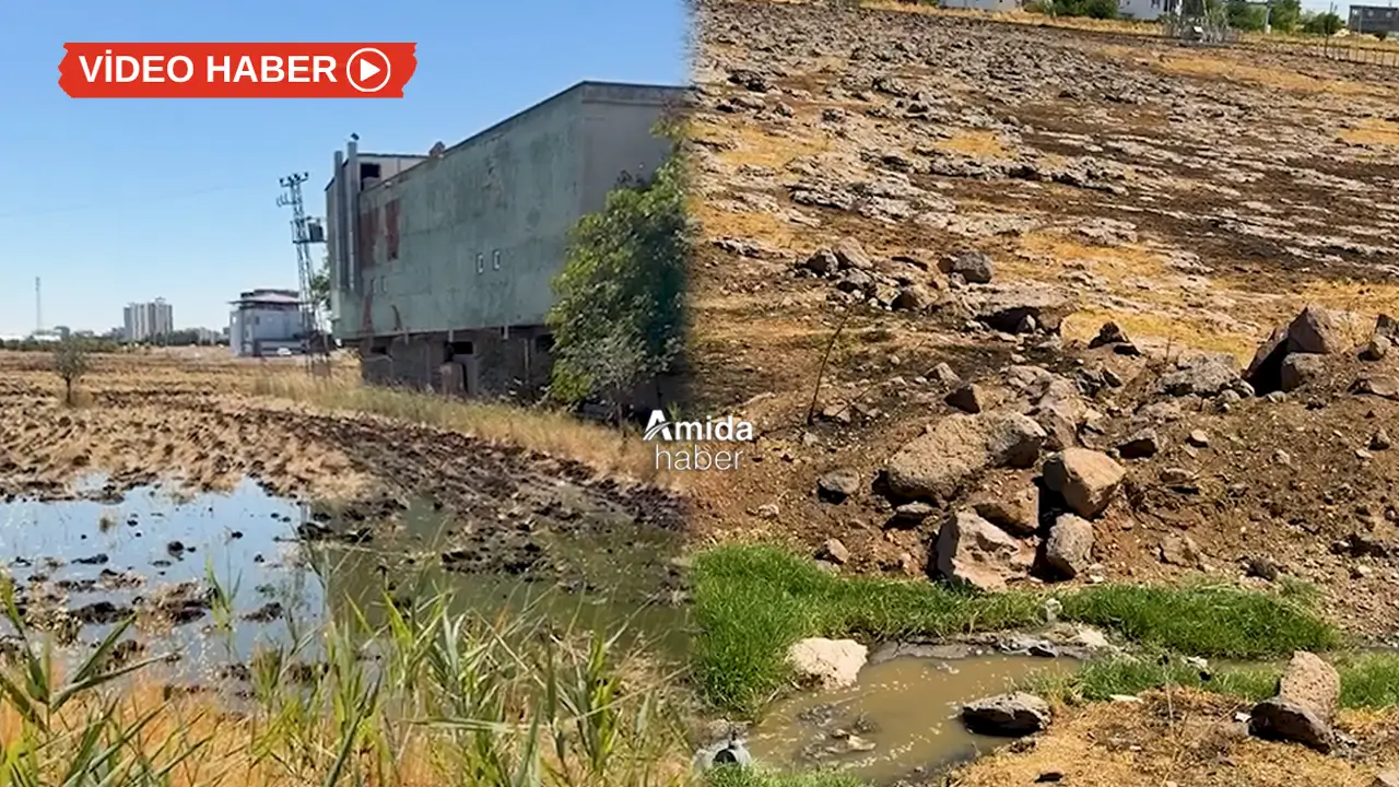 Diyarbakır’da mahalleye 6 aydır lağım suyu akıyor