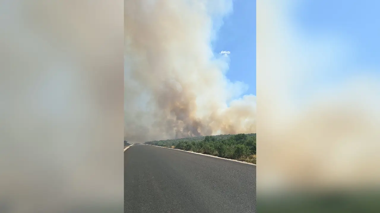 Diyarbakır’da kırsalda çıkan yangın ormana sıçradı