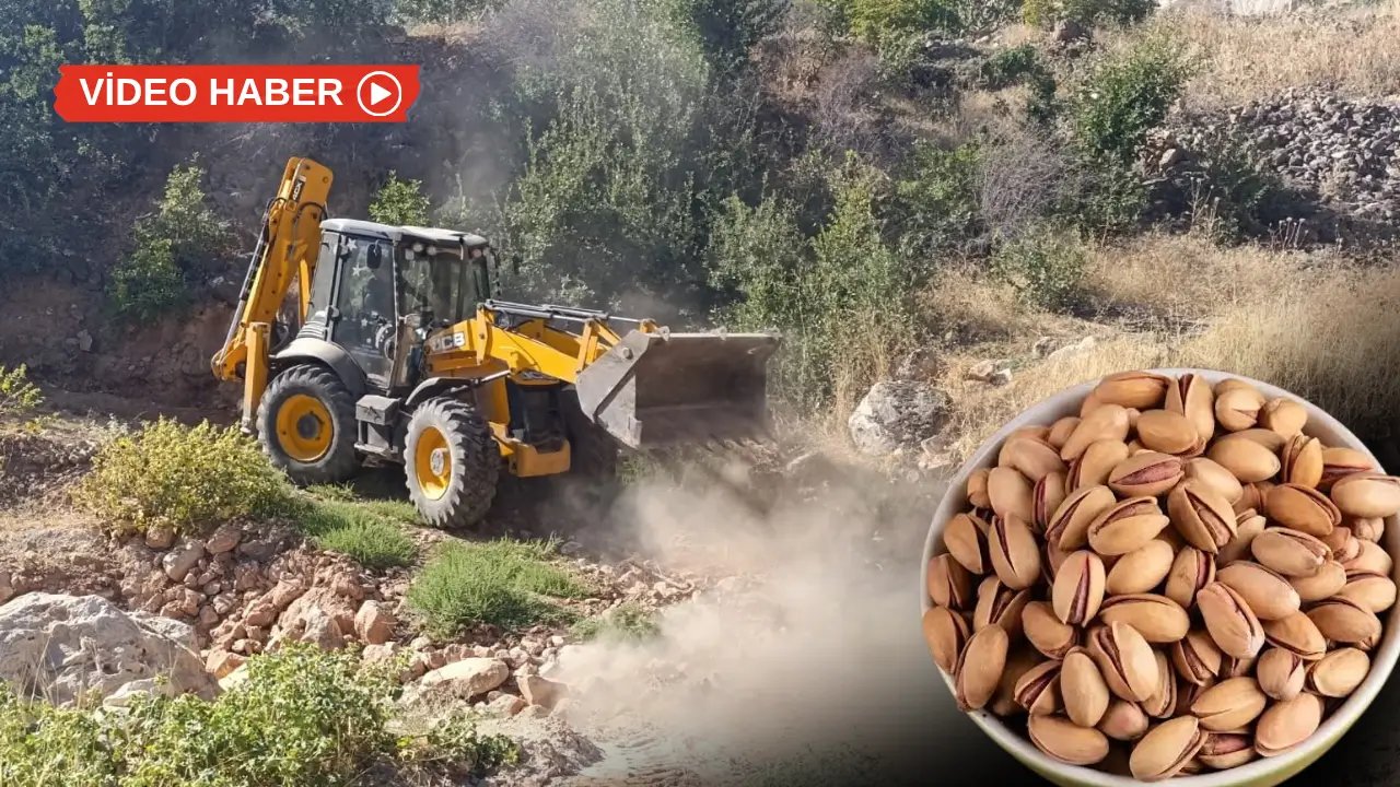 Siirt'te fıstık üreticilerine ulaşım desteği