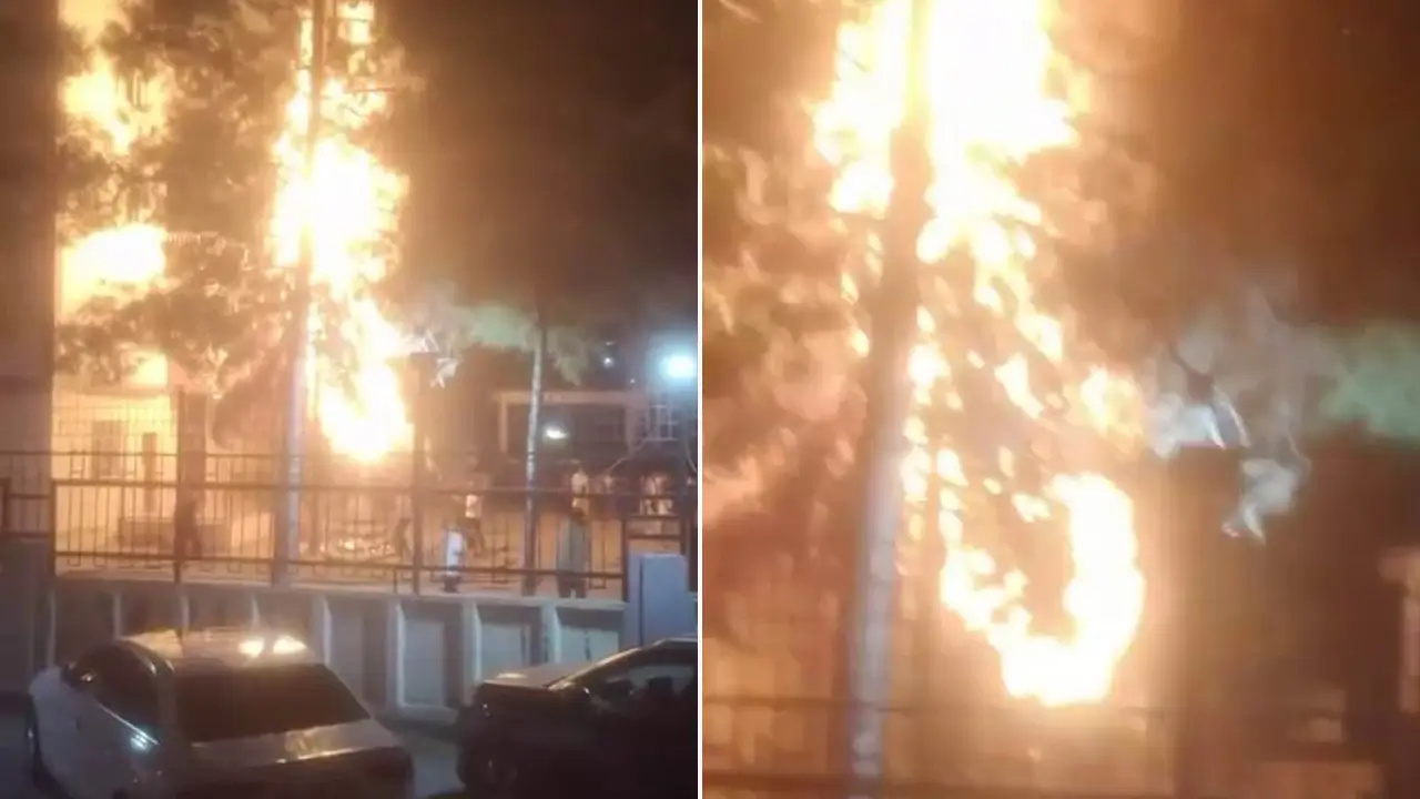 Diyarbakır’da havai fişek ağacı tutuşturdu