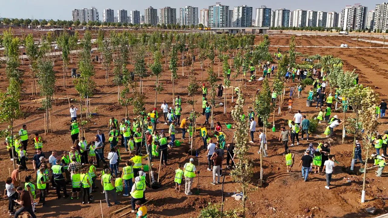 Diyarbakır’ın en büyük parkında ağaç dikimi başladı