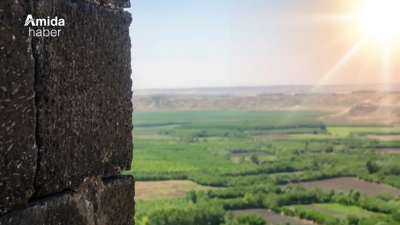 'Afrika kraliçesi' Diyarbakır’da güneşleniyor